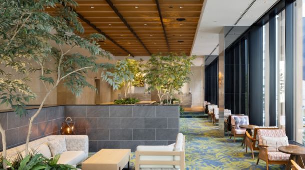 Hoteles Ofertas Dynamic Tours